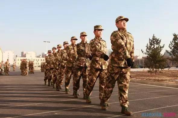 大学生毕业当兵待遇，新时代青年投身国防的吸引力与激励措施