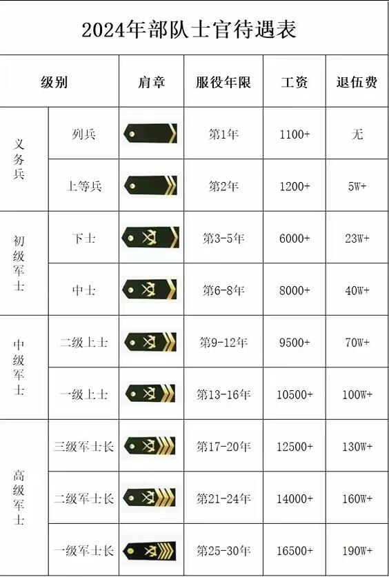 士官待遇相当什么级别，深度解读与平衡考量