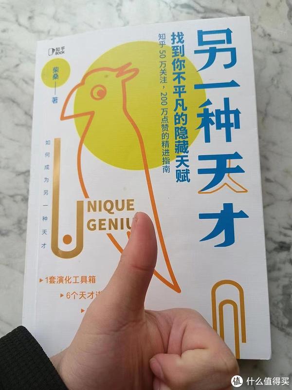 天才黄金手，探寻成功的黄金法则与天赋异禀的魅力之旅（txt下载）
