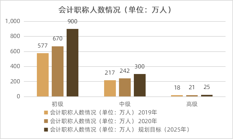 会计专业移民，探索职业与迁徙的交汇点