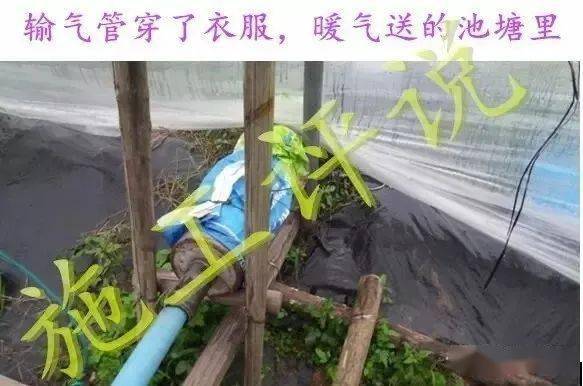 白对虾大棚增氧技术，提升养殖效率与品质的关键