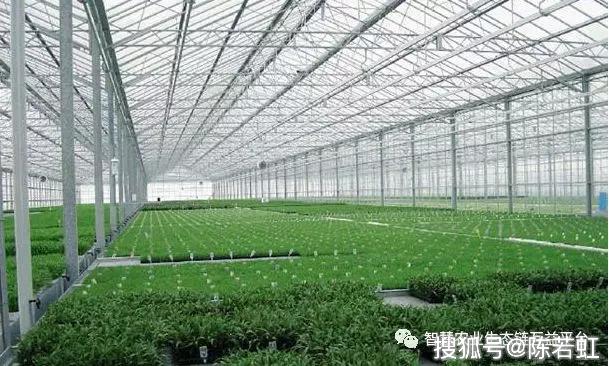 大棚养殖中的排湿技术研究与应用