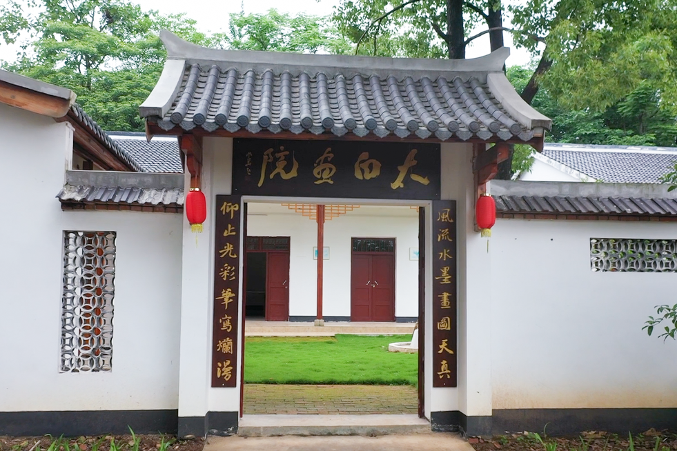 新协创投，引领创新与发展的先锋力量