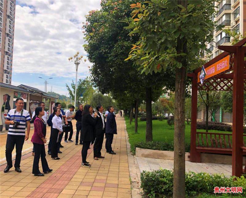 贵州木纹产地深度解析