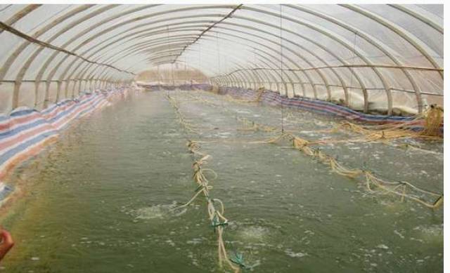 澳门水产养殖大棚定制，探索现代水产养殖新模式