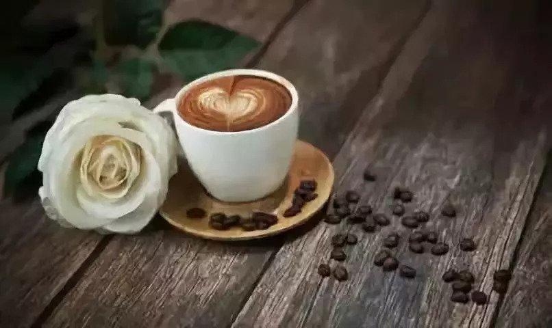 专业的咖啡木纹，解读其魅力与独特之处