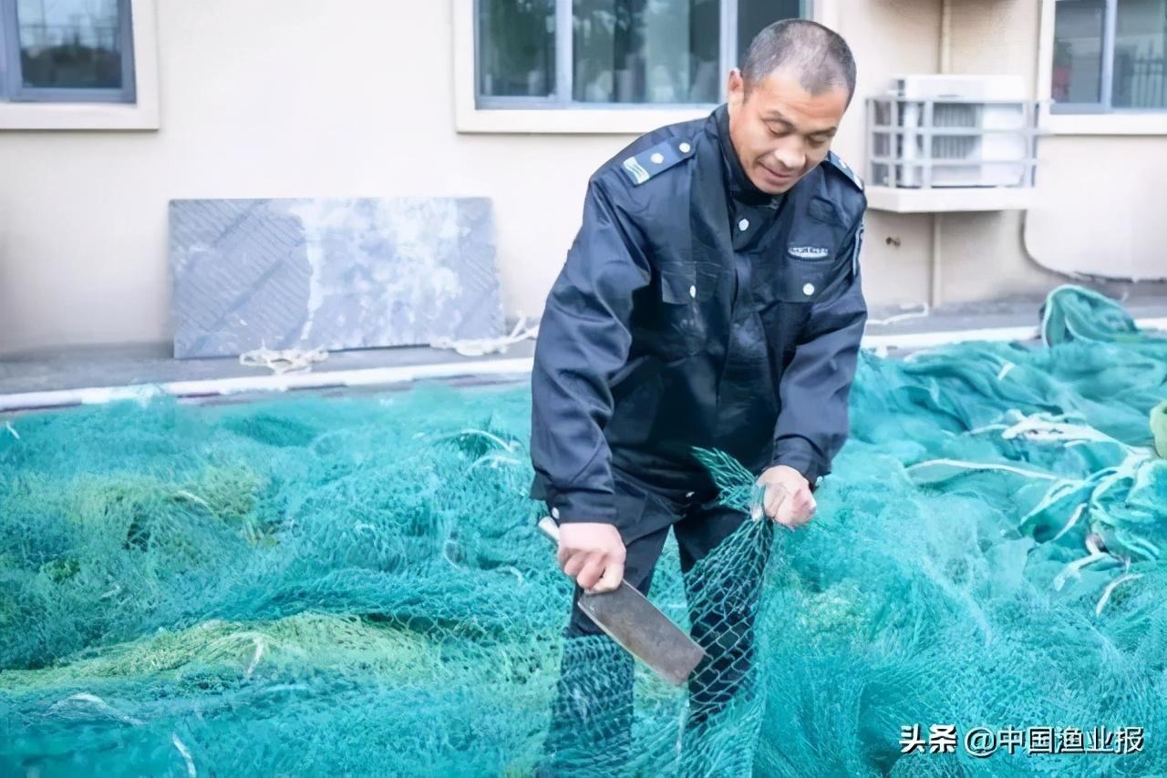 上海长江船舶有限公司，探索历程与未来展望