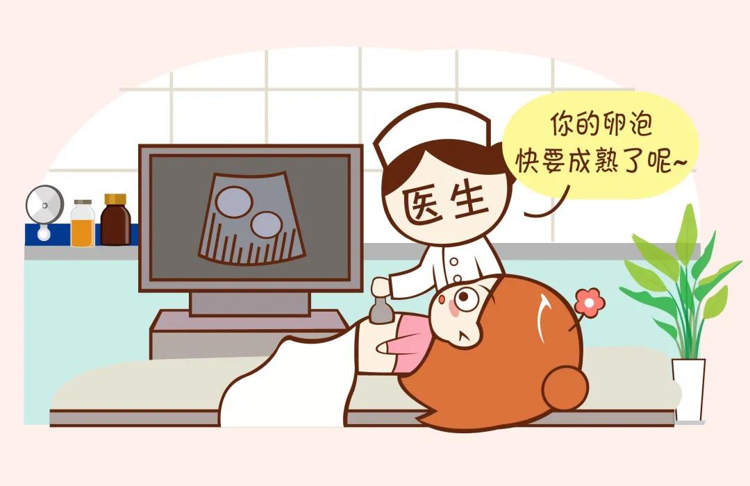 试管第二次取卵，希望与挑战并存