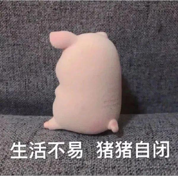 自闭动漫男生表情包，一种独特的网络文化现象