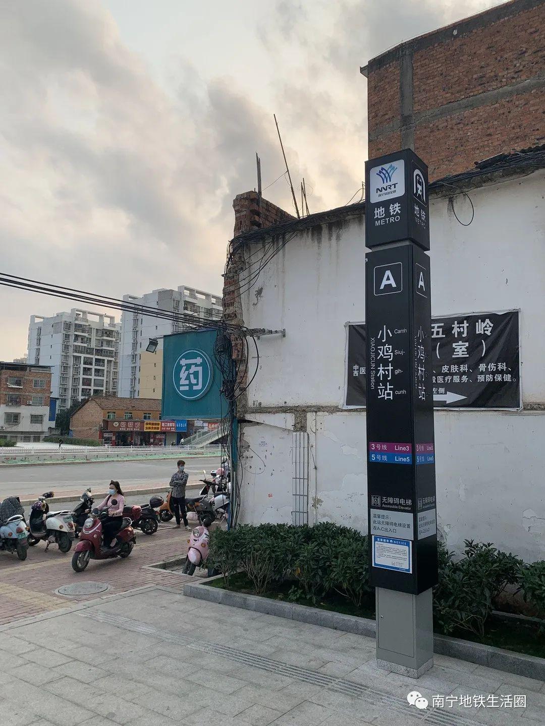 大班美术小鸡成长的故事