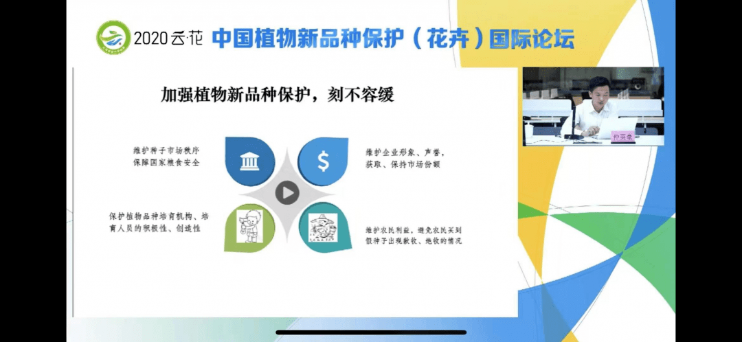新品种绿化苗木，未来城市绿化的新动力