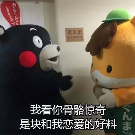 Line表情包，数字时代的情感新语言