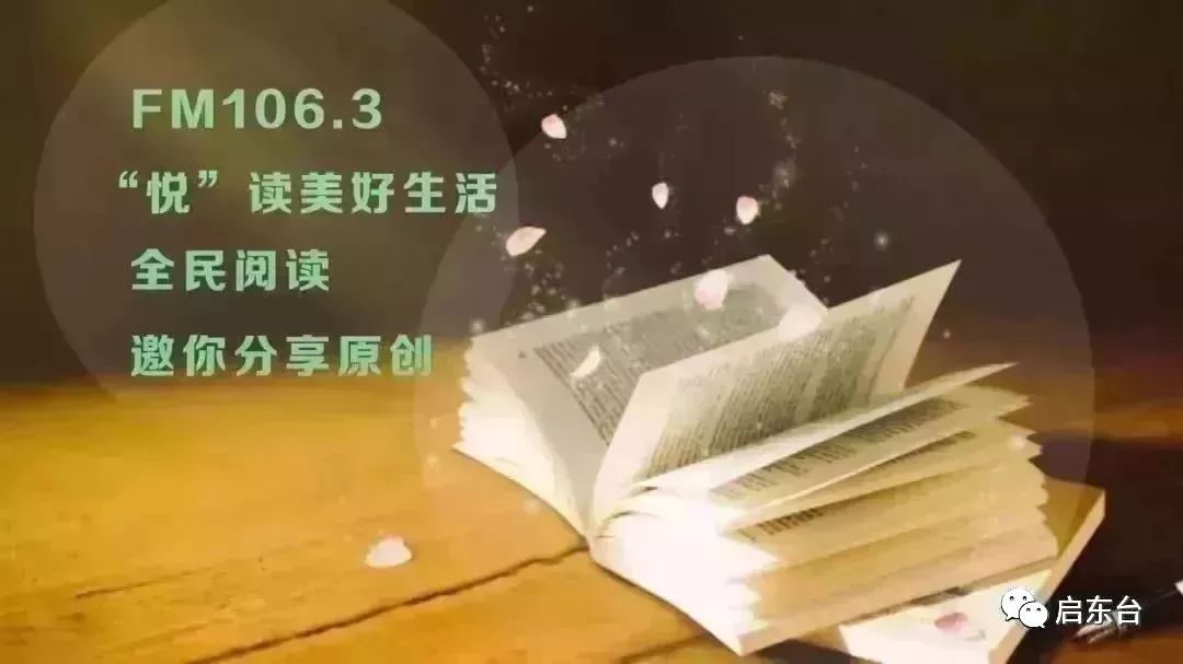 文案语音短句的魅力与应用