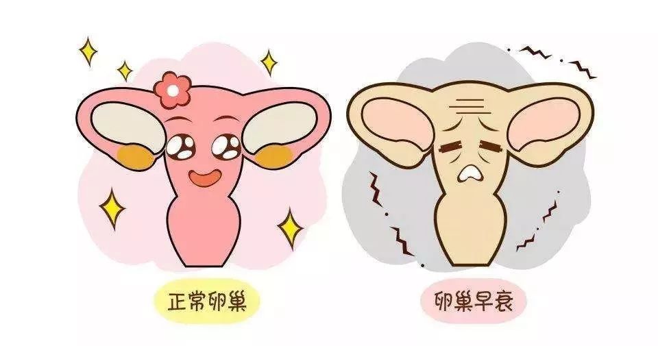 卵巢过度刺激与取卵后的护理
