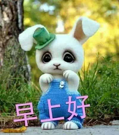哇哭了动漫表情包，情感表达的新潮流