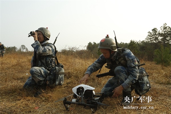 伞兵高空，挑战极限与英勇无畏的象征