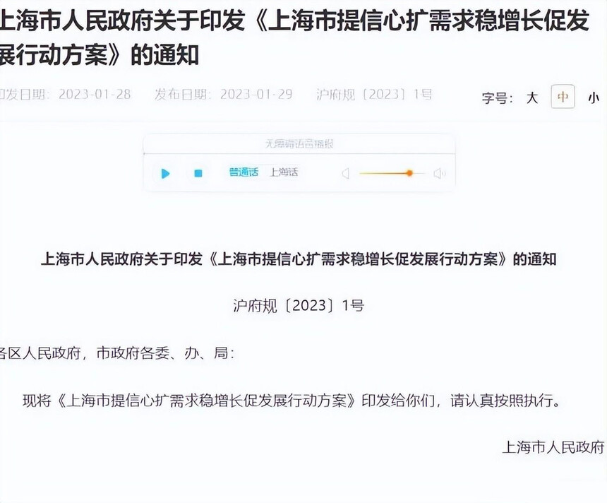 上海发改委红头文件，推动城市发展的核心力量