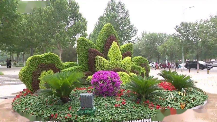 立体花坛的植物品种与多彩呈现