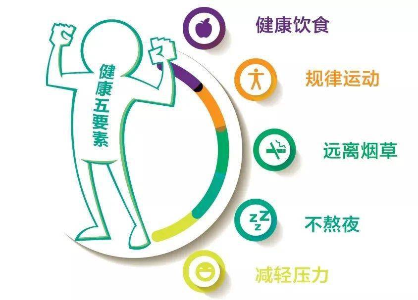 徐州鼎龙健身，塑造健康生活的力量之源