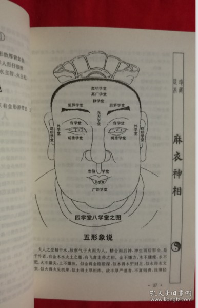 寻找麻衣神相的传世之作，一段关于旧书的美好缘分