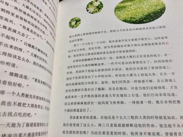 寻找一本三字经的书，探索经典文化的魅力之旅